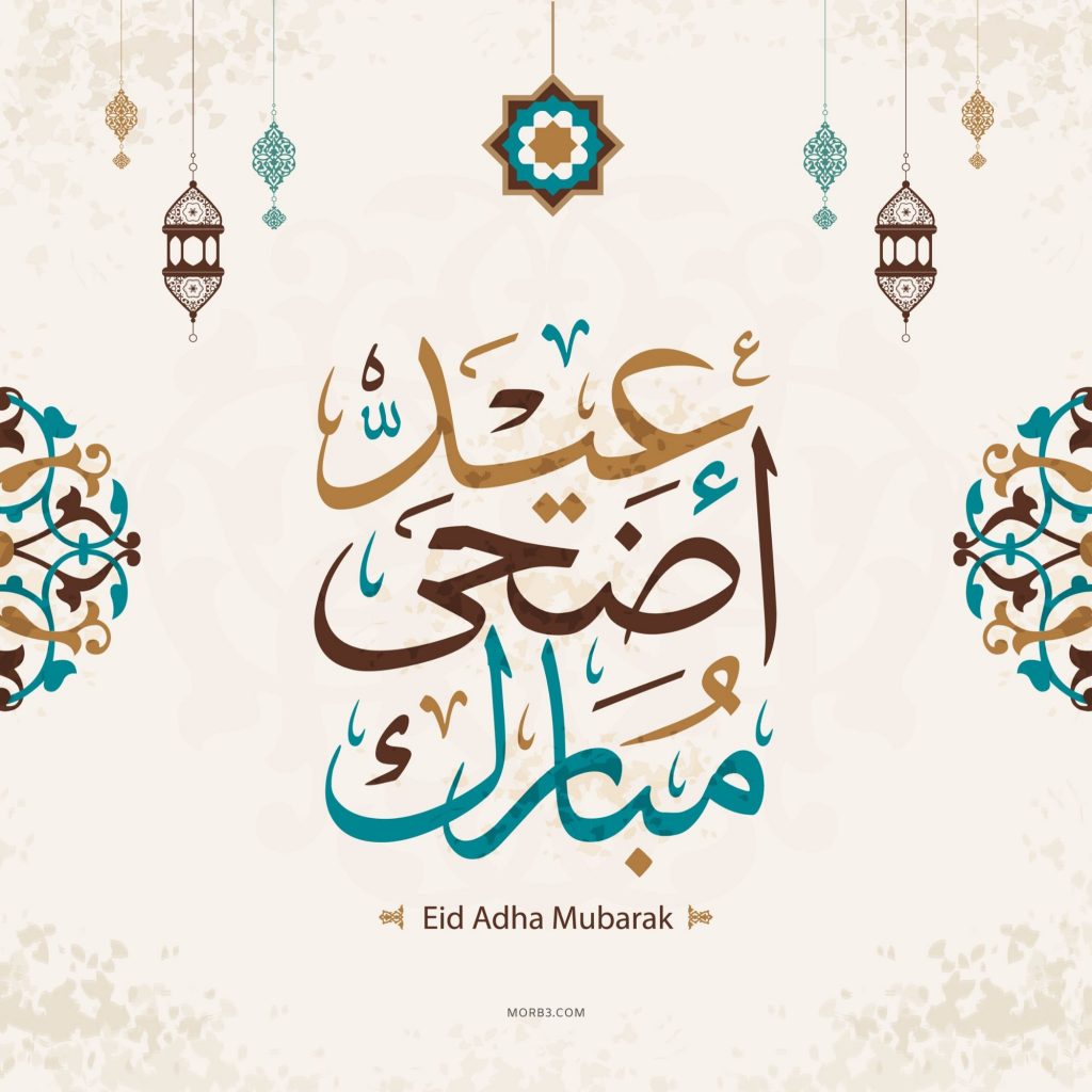 ../balag/1zfk2alunsyjxto8hmv934iw0.jpg